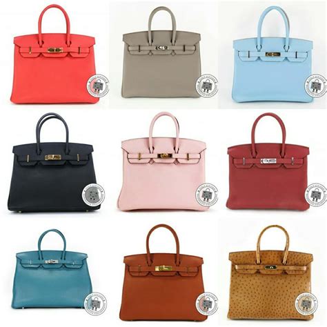 famous Hermes bag women